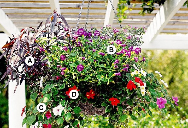 Add a touch of style and charm to outdoor areas with hanging baskets