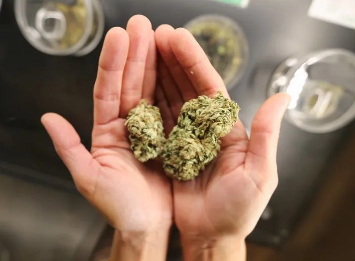 How To Get The Comfort And Quality You Want With marijuana delivery winnipeg!