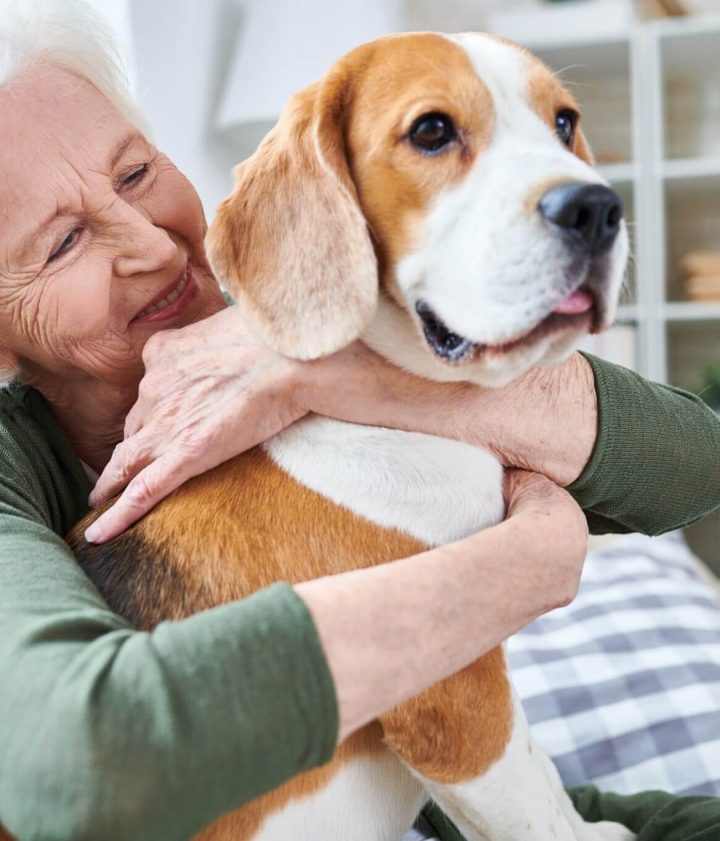 Understanding Important Steps to Maintain a Healthy Weight of Your Pet